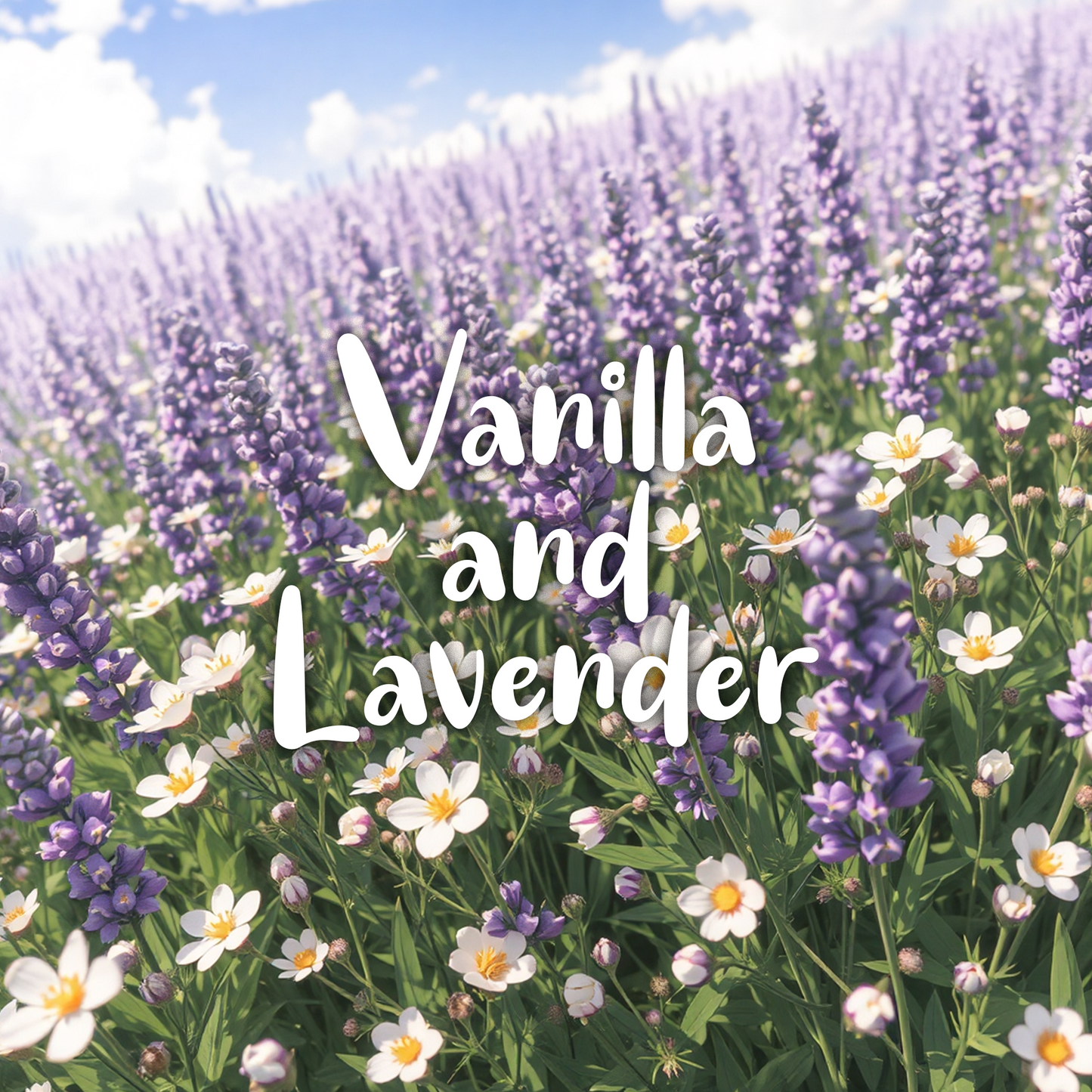 Vanilla Meadow Car Air Freshener - Vanilla and Lavender - Scents From Above